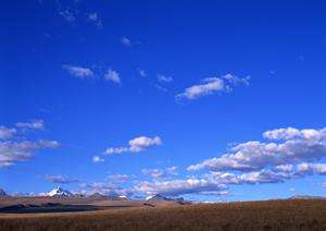 静岡市の安心と信頼の葬儀場【富士葬祭 静岡】：家族葬・一般葬から社葬まで対応可能な総合葬儀サービス