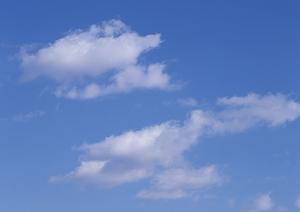 静岡県富士宮市の家族葬専門斎場｜【公式】家族葬のタクセル光町の特徴とサービス内容