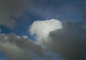 静岡県の家族葬・火葬・斎場を低価格でご案内【家族葬のタクセル】